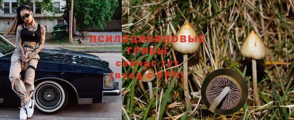 сатива Алексеевка