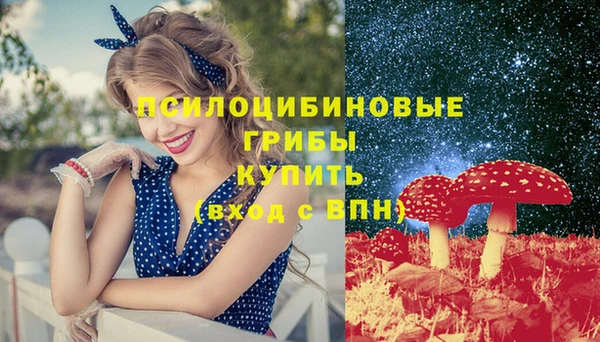 молекула духа Алексин