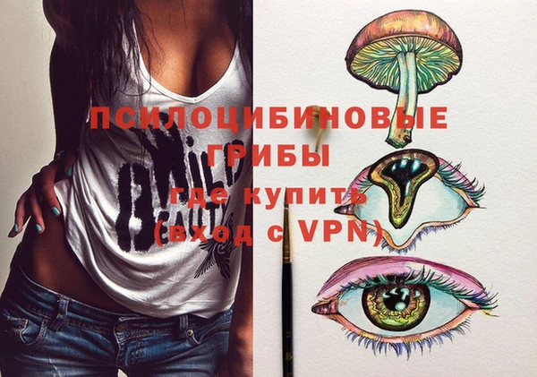 герыч Новозыбков