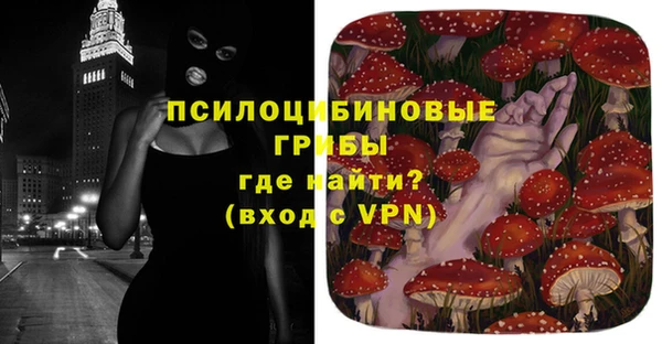 сатива Алексеевка