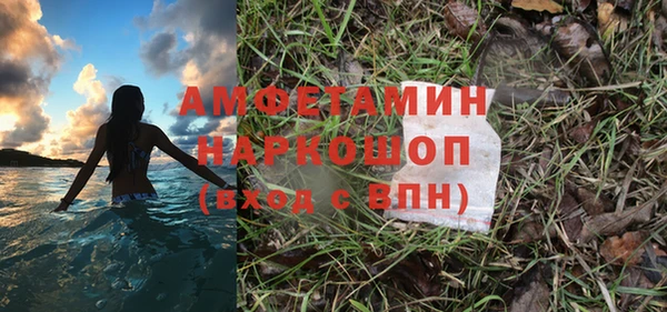 молекула духа Алексин